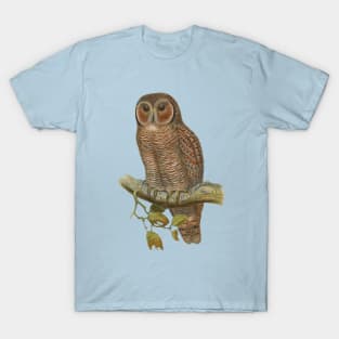 Lonely Owl Realistic Drawing T-Shirt